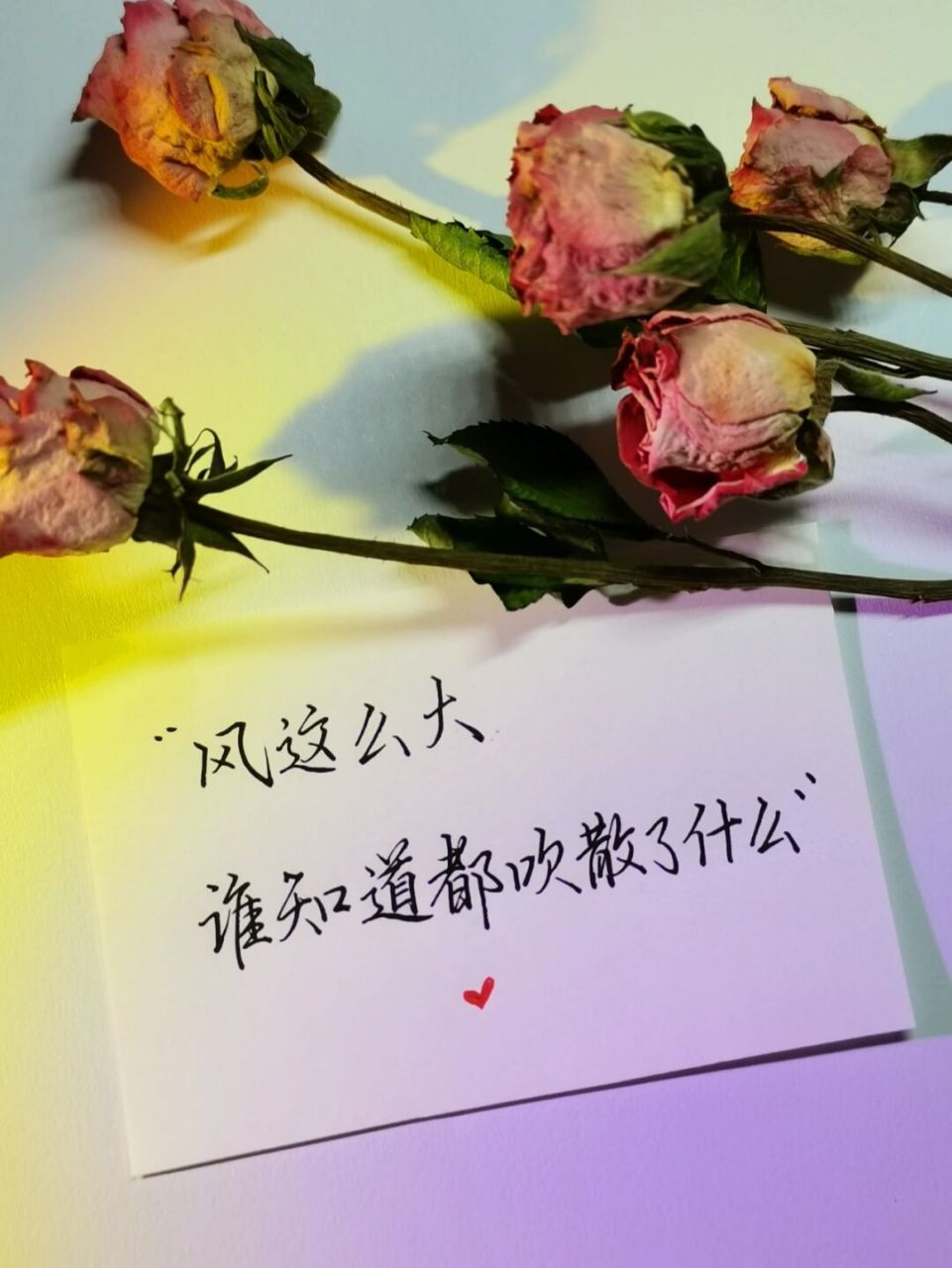 7815风太大,吹散了什么 —————————7815