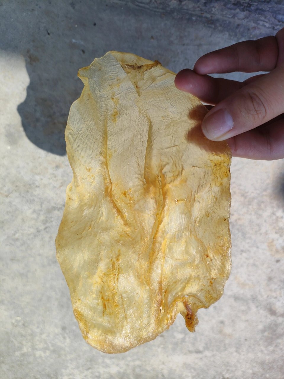 帮看看这个斗湖公鱼胶是不是真的 姐妹们,帮我看看,这个斗湖公鱼胶,是