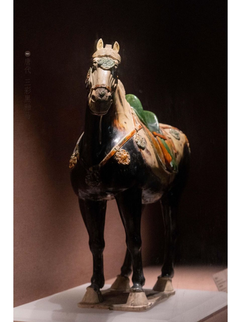 著名文物—洛阳博物馆藏 唐代 三彩黑釉马 唐代 三彩黑釉马 1981年