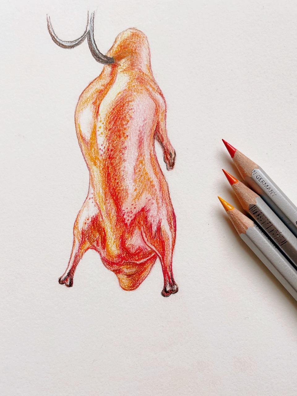 995步画只香喷喷的脆皮烤鸭95 小可爱们要的烤鸭彩铅教程来了95