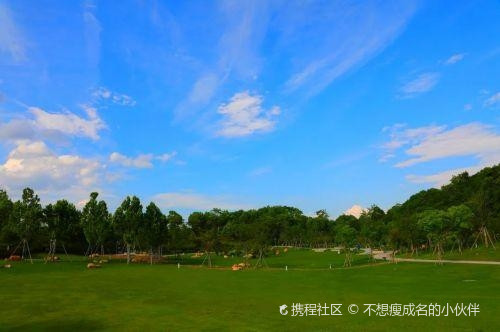 丽水七百秧城市森林公园