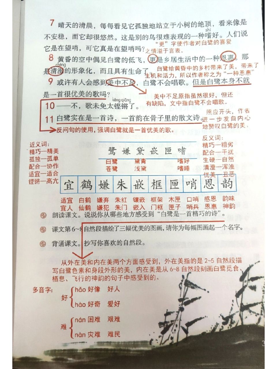 白鹭的课堂笔记图片图片