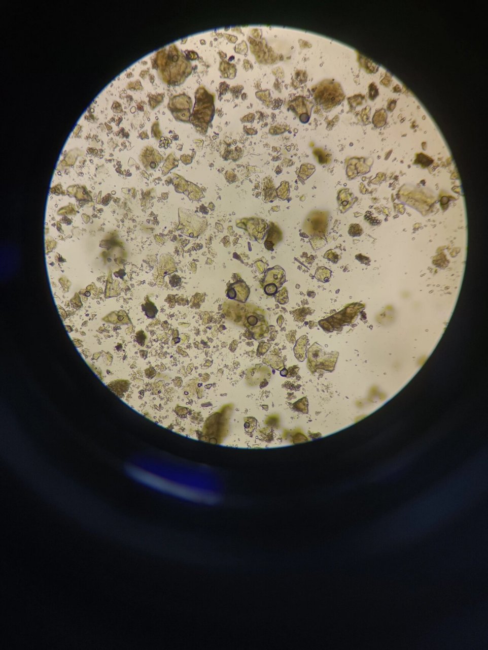 半夏晶体显微镜图片图片