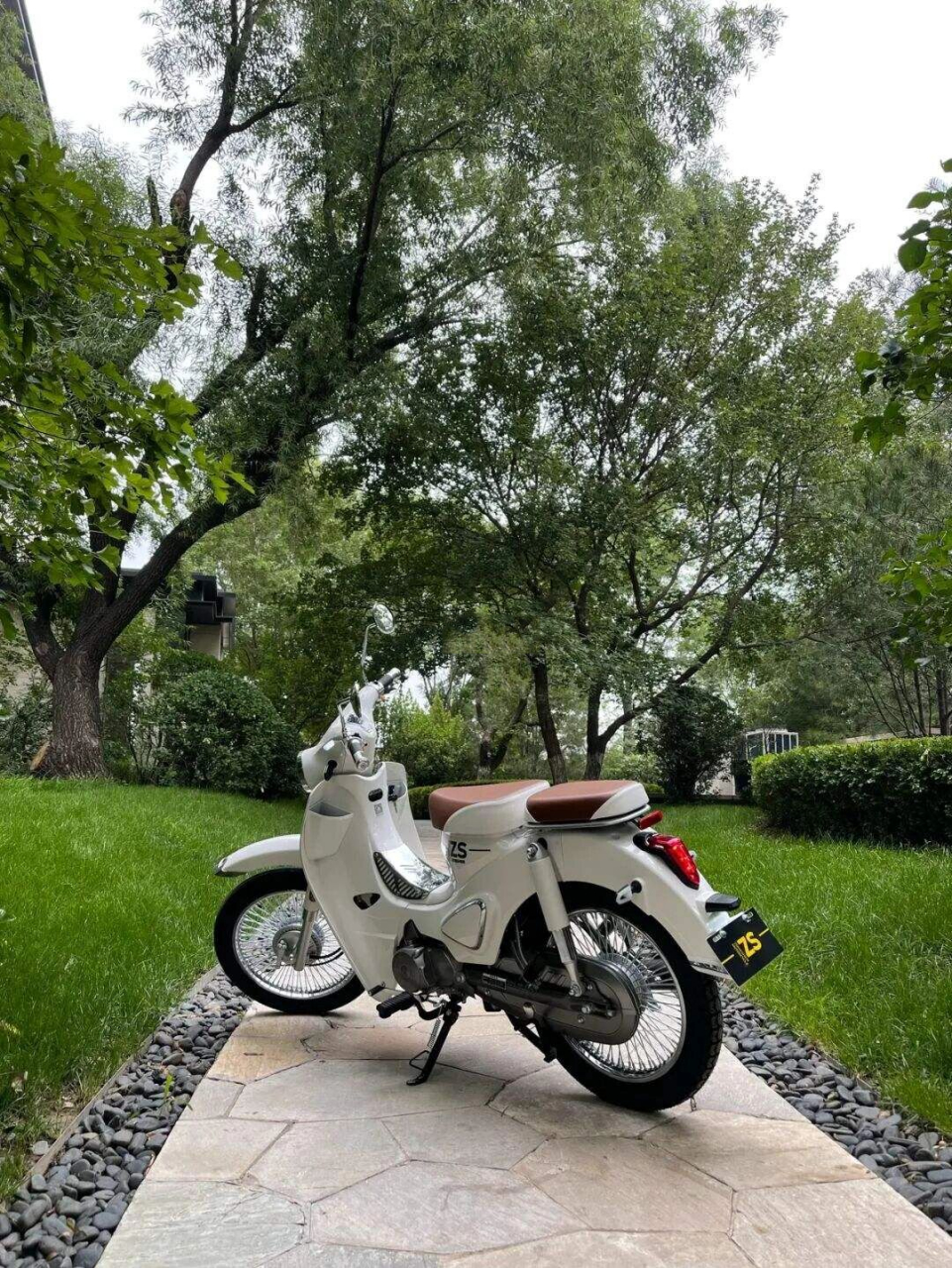 难以抉择/嘉陵coco和宗申yami 昨日心血来潮看到这两个小可爱,疫情后