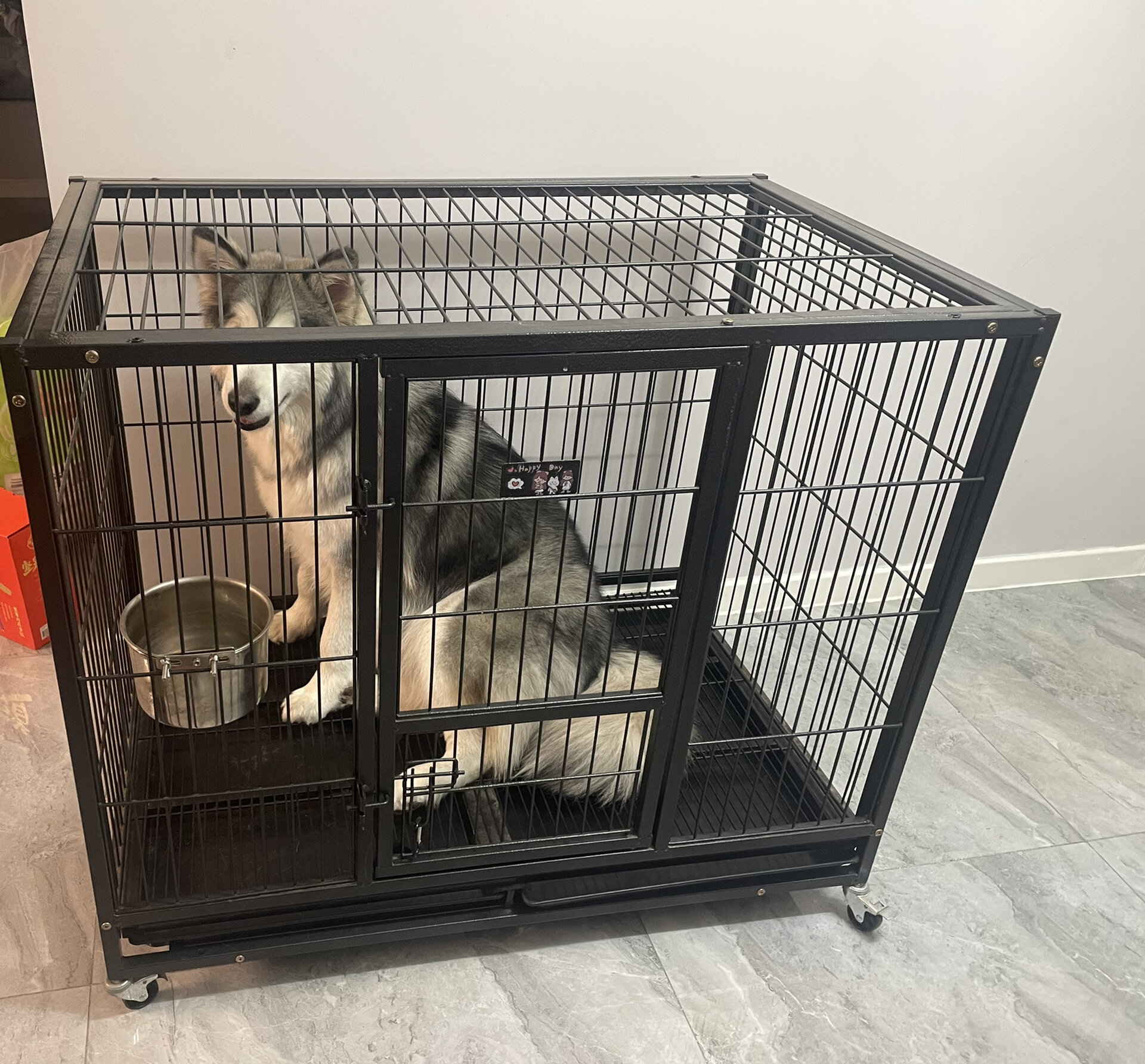 大型犬狗笼闲置