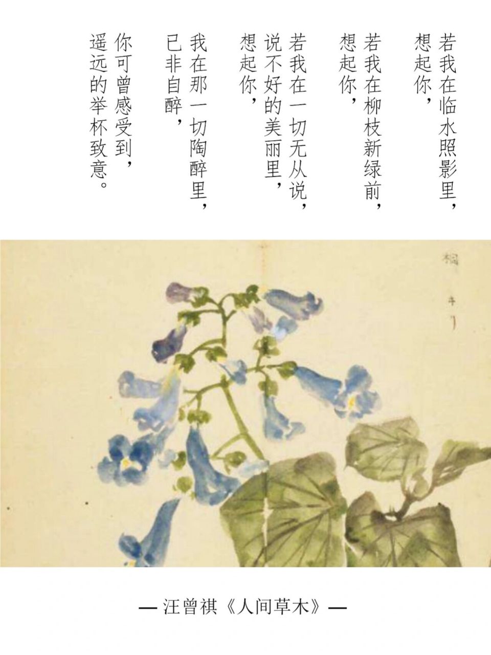 摘抄 | 汪曾祺《人间草木》(一) 166 那一年,花开得不是最好, 可是