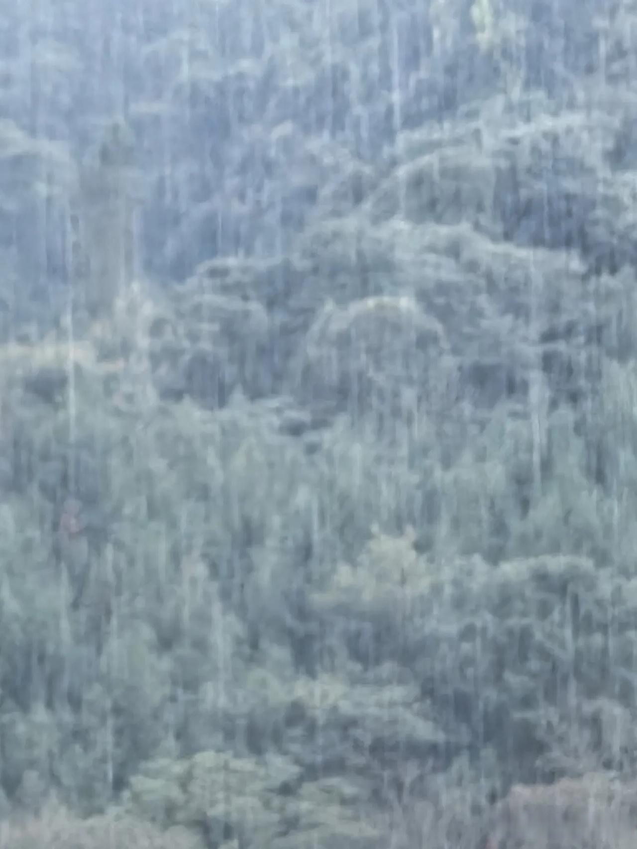 这雨下得真大,幸好刚刚把晒的草药装包完工,要是迟一步