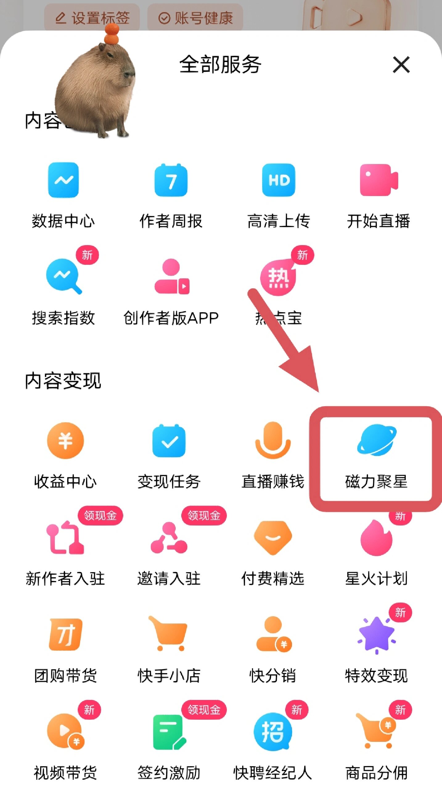 磁链接怎么下载_磁链接手机怎么下载 磁链接怎么下载_磁链接办
机怎么下载（如何用磁链接下载） 网络资讯