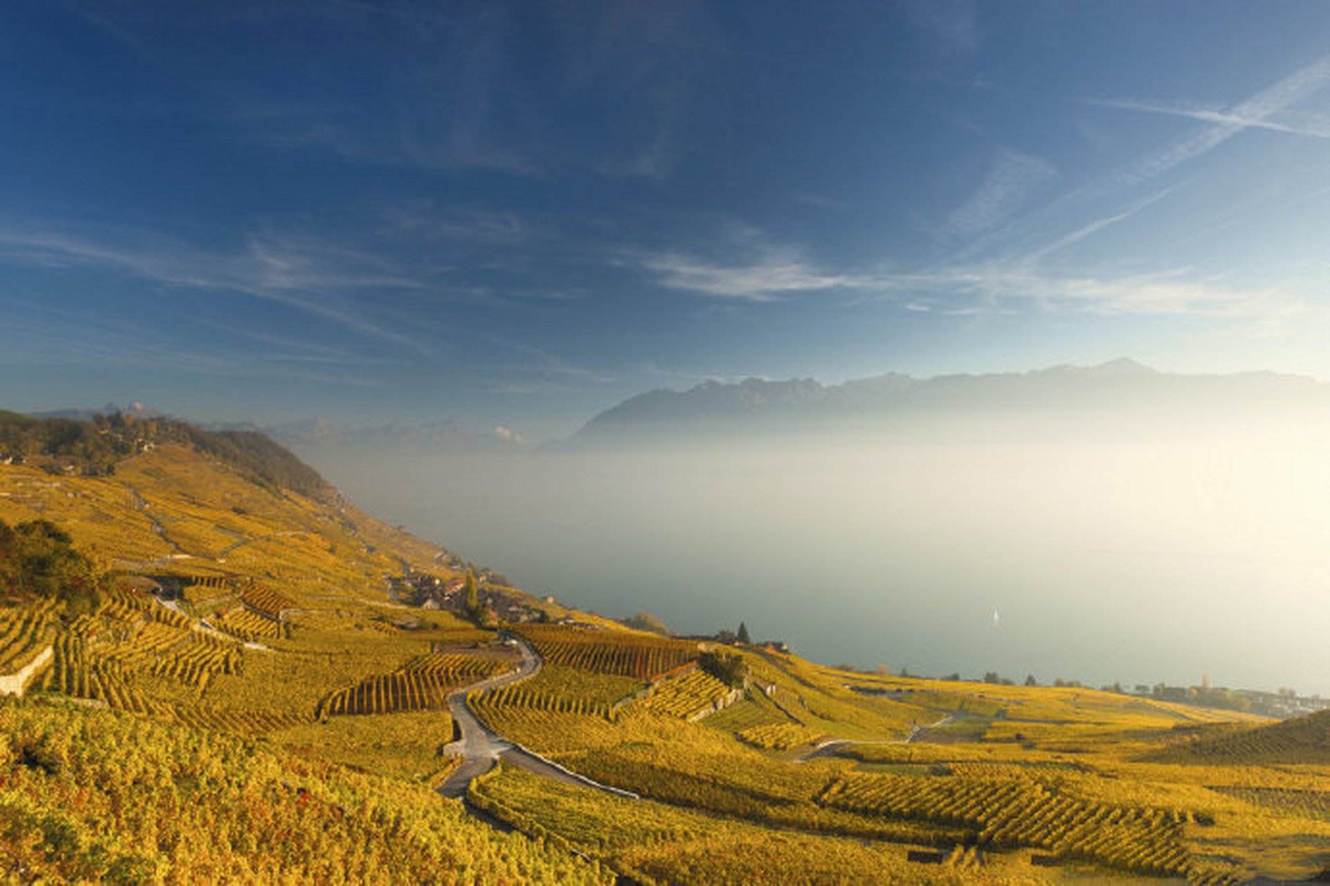 瑞士最美村庄—艾佩斯,是鼎鼎大名的拉沃(lavaux)葡萄园中的一个