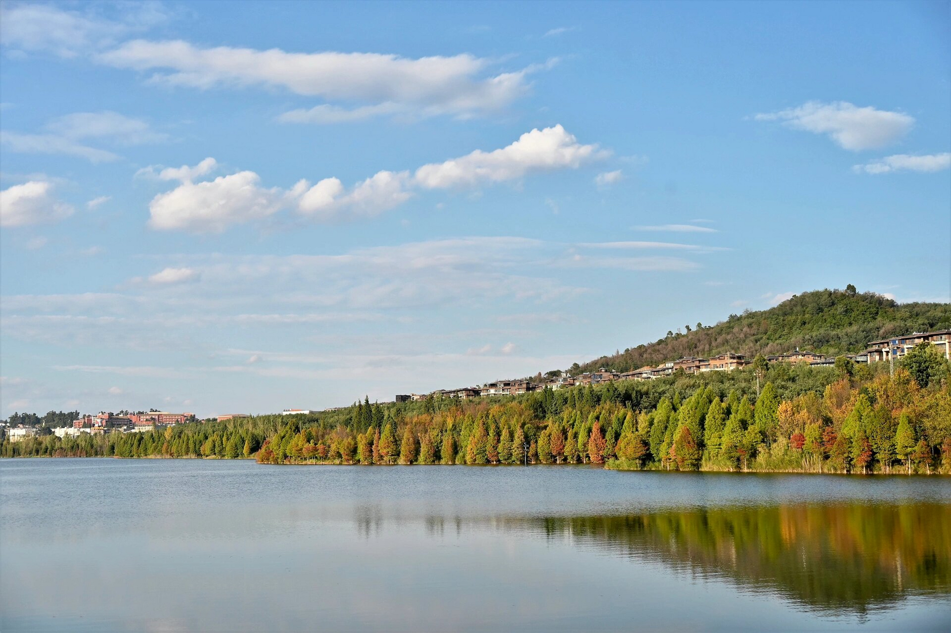 秋色|昆明果林水库水杉开始换秋装94 # 	 位置: 	 昆明市经开区果林