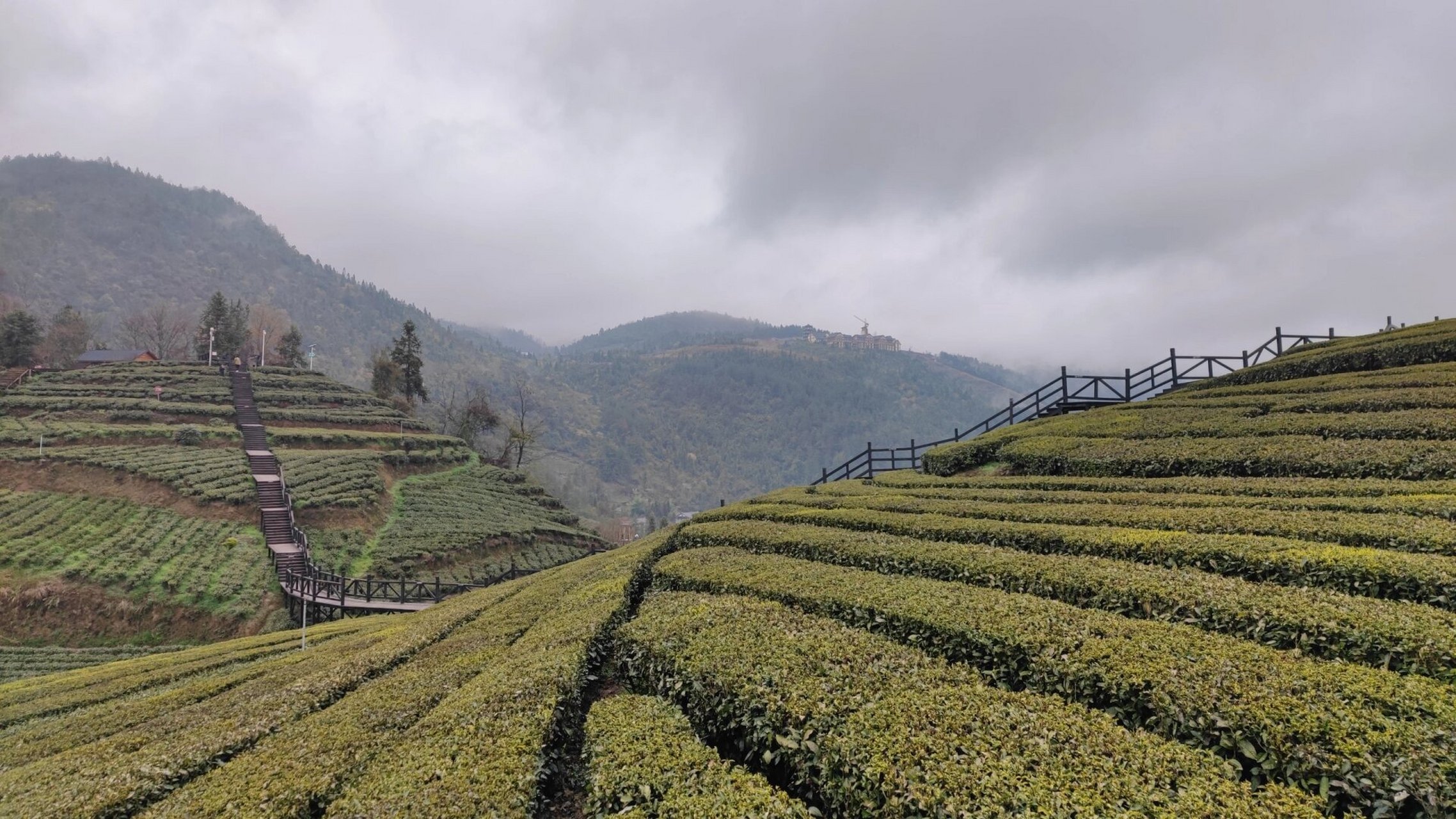 恩施旅游攻略-伍家台 90景点介绍 当年的皇家茶园,国家4a级旅游景区