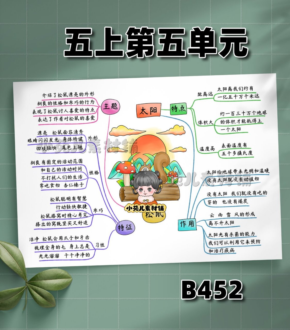 b452五年级语文上册第五单元思维导图