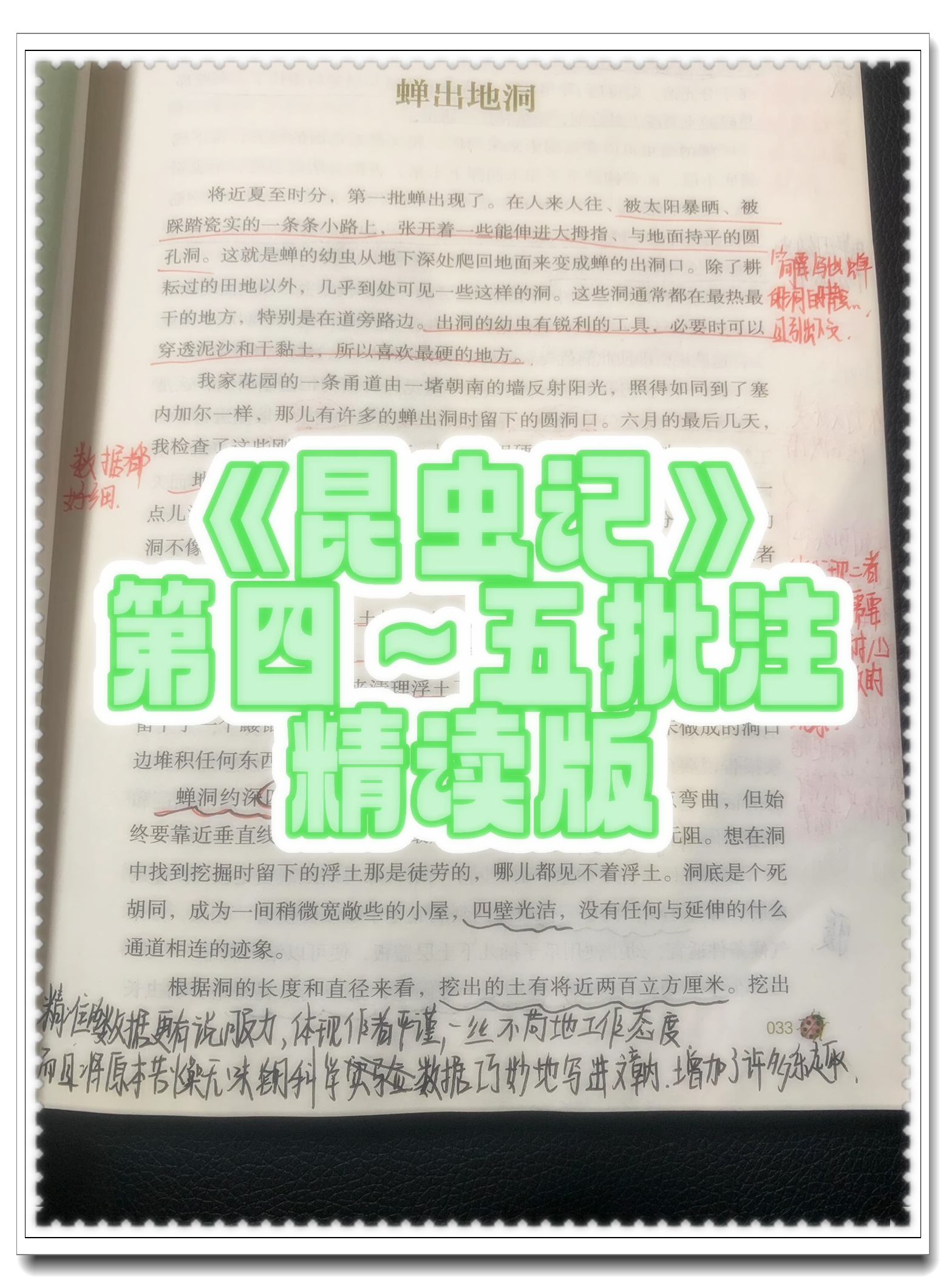 今天我们来读《昆虫记》第四～五批注