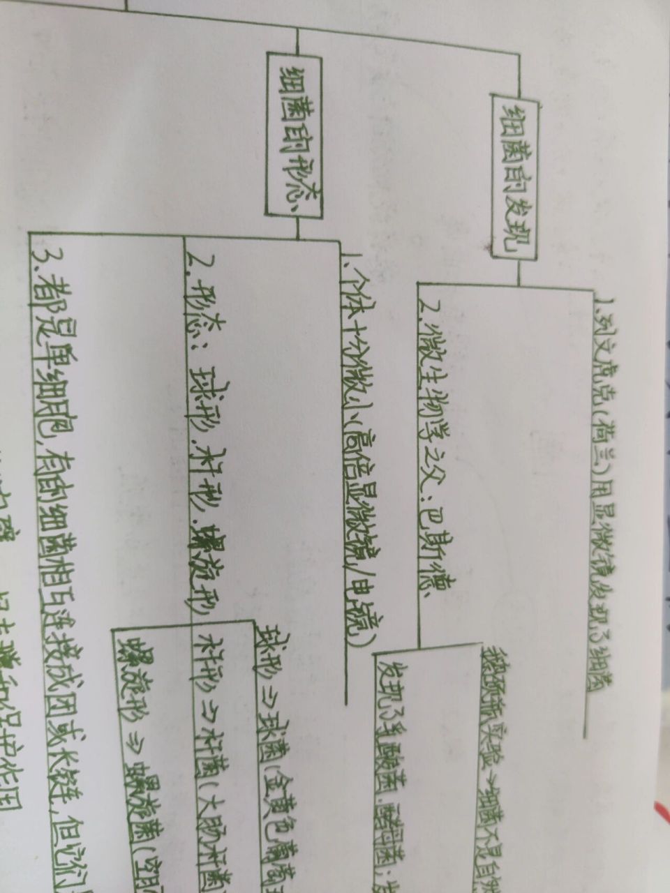 微生物的分类思维导图图片