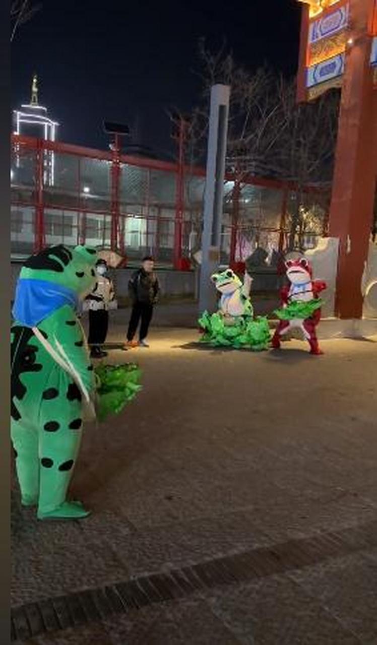 网红青蛙(赖疙宝),最近在抖音上面老是刷到网红的这个青蛙,昨天周末去