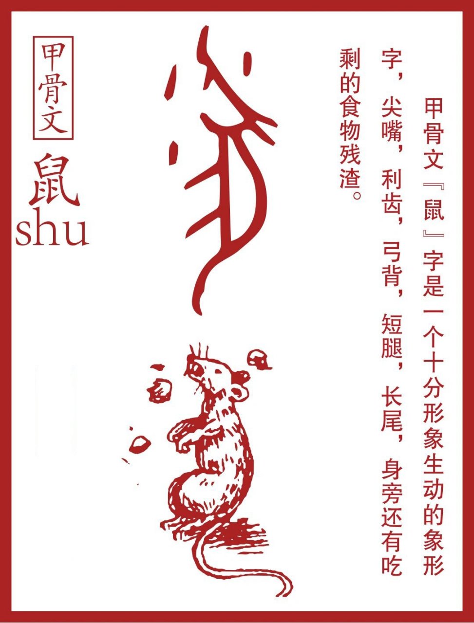 一字一画,认识甲骨文9215之十二生肖文字(一) 甲骨文之象形字