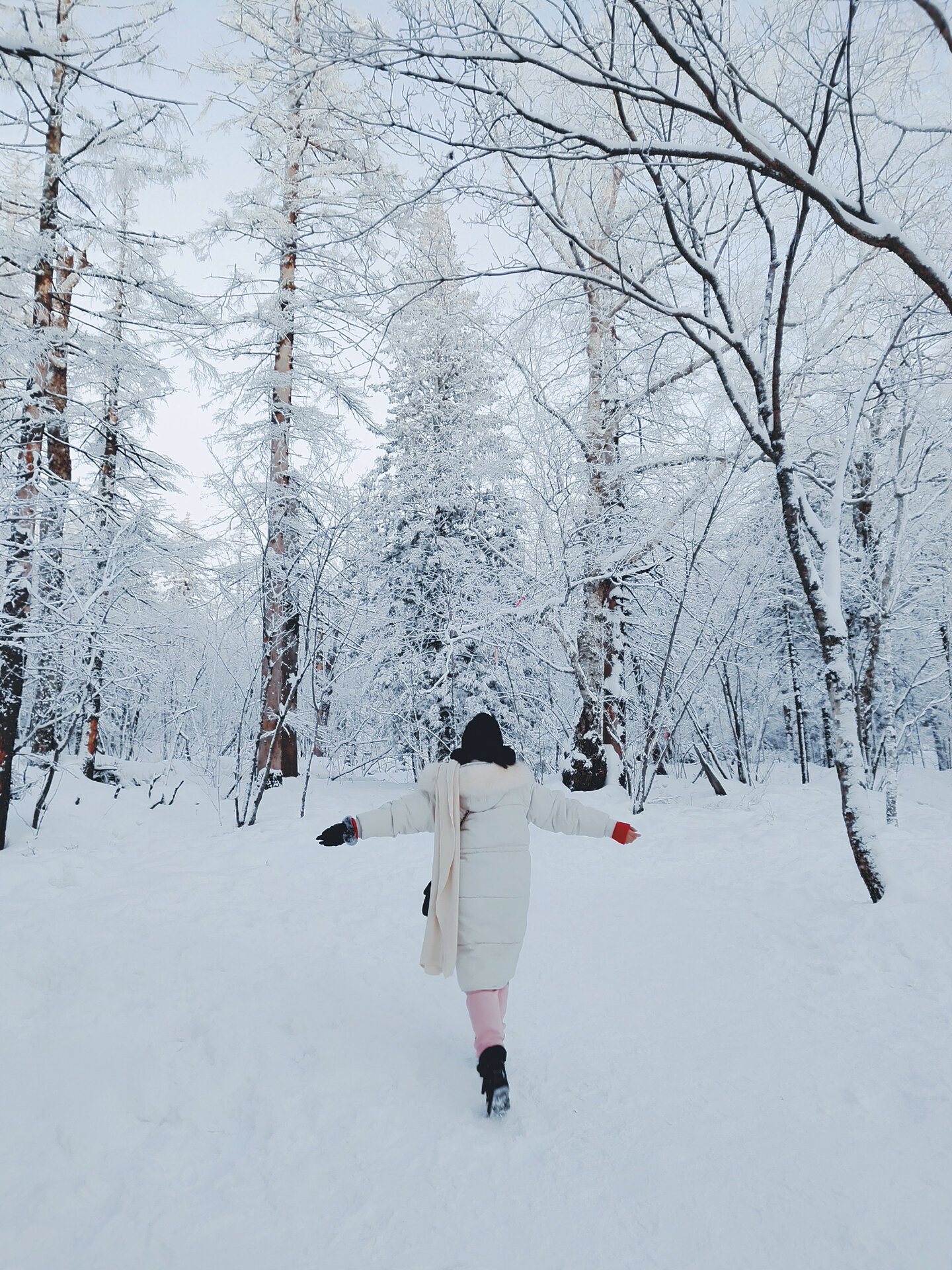 冰雪画廊图片