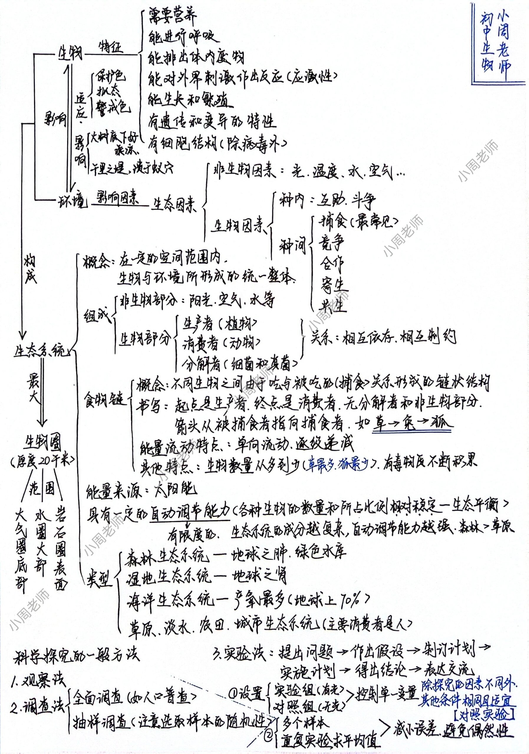 人教版七年级生物思维导图