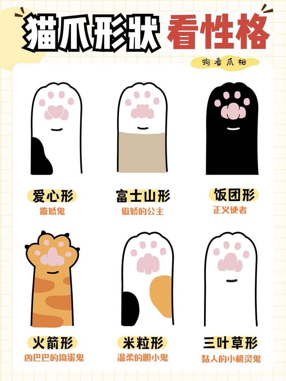 娱乐的仅供参考,快去看看你家小猫咪的爪子是什么形状的吧 #新手养猫