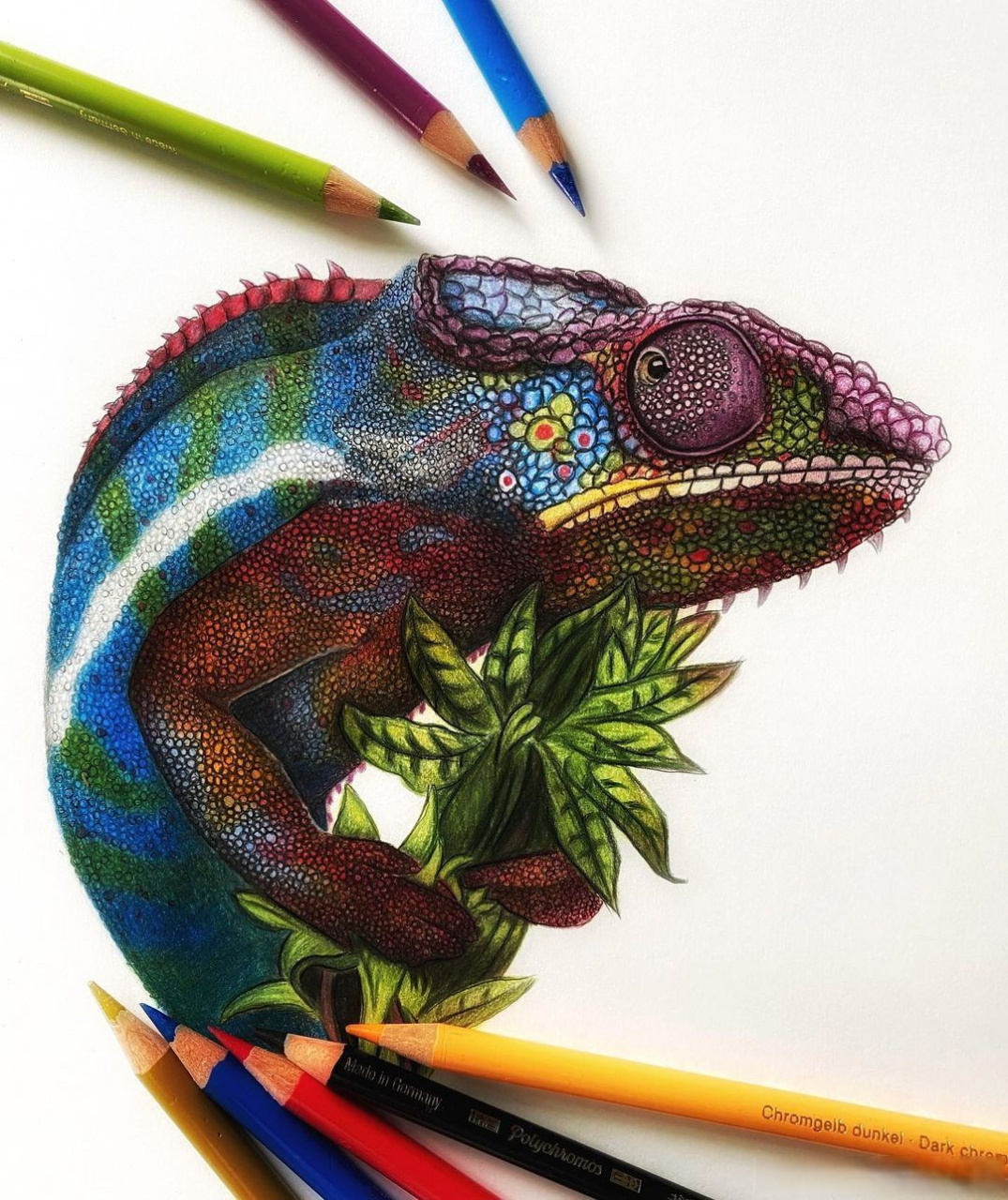 画家米娅彩铅动物画