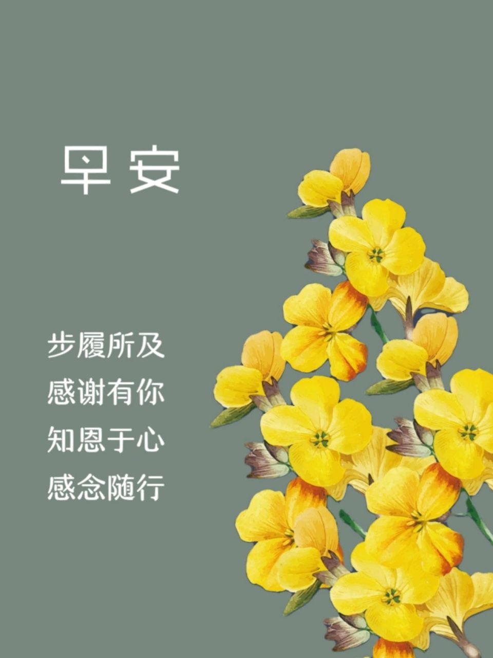 早安/感恩有你 早安/感恩有你