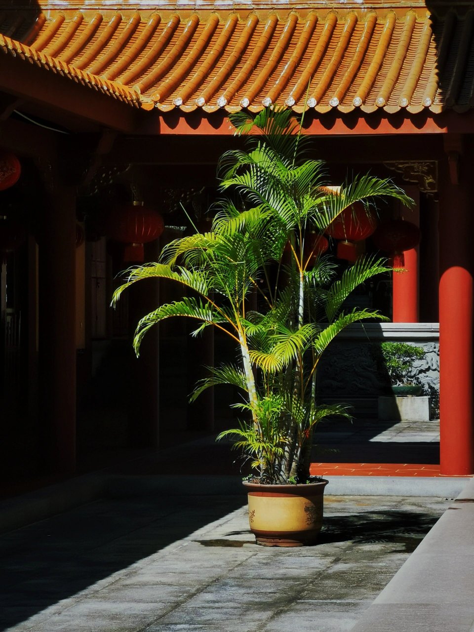 厦门同安有座千年古刹|梵天寺 99同安梵天寺95 92 很奇怪,每次