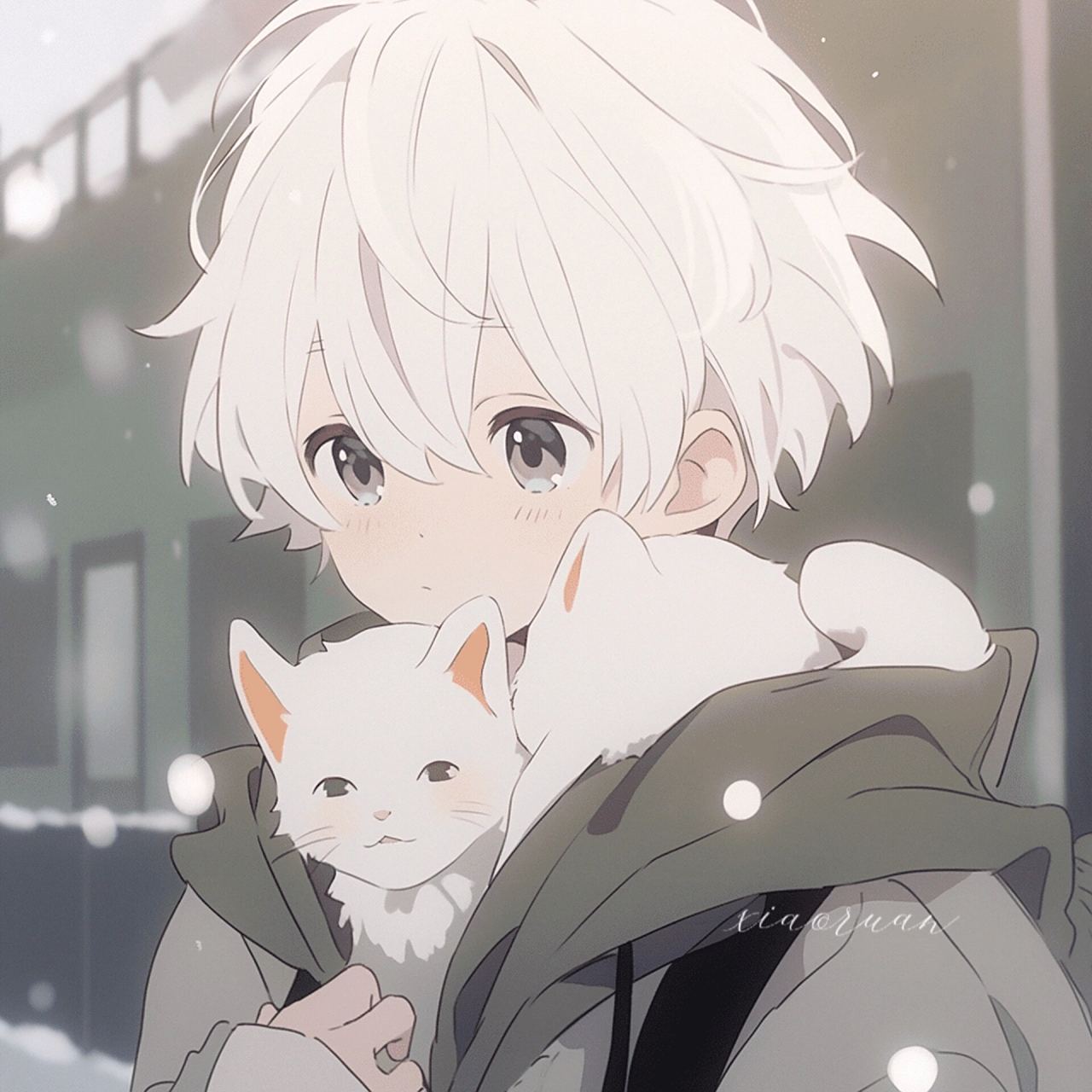 动漫男头|冬日氛围感抱猫头像