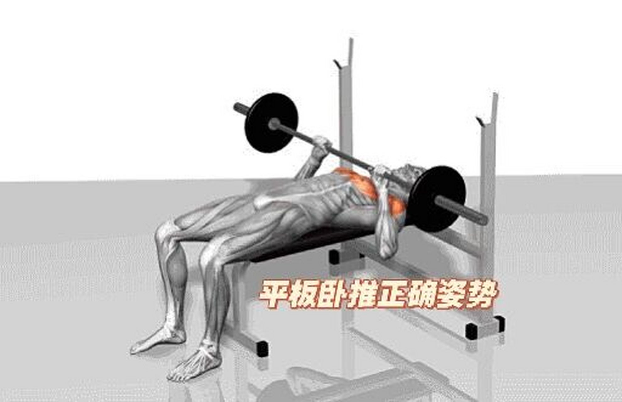 平板卧推细节干货,你学会了吗? 手握: 新手一定要全握,五指并拢.
