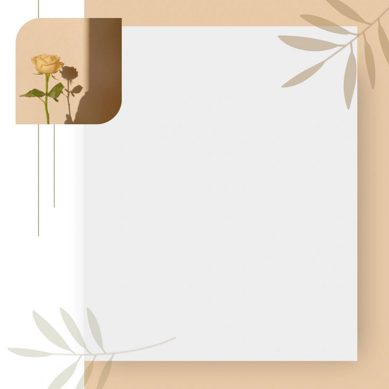 小众高级的晒单图|海报空白模板|晒单文案图 95 嗨~我是合小沫美学