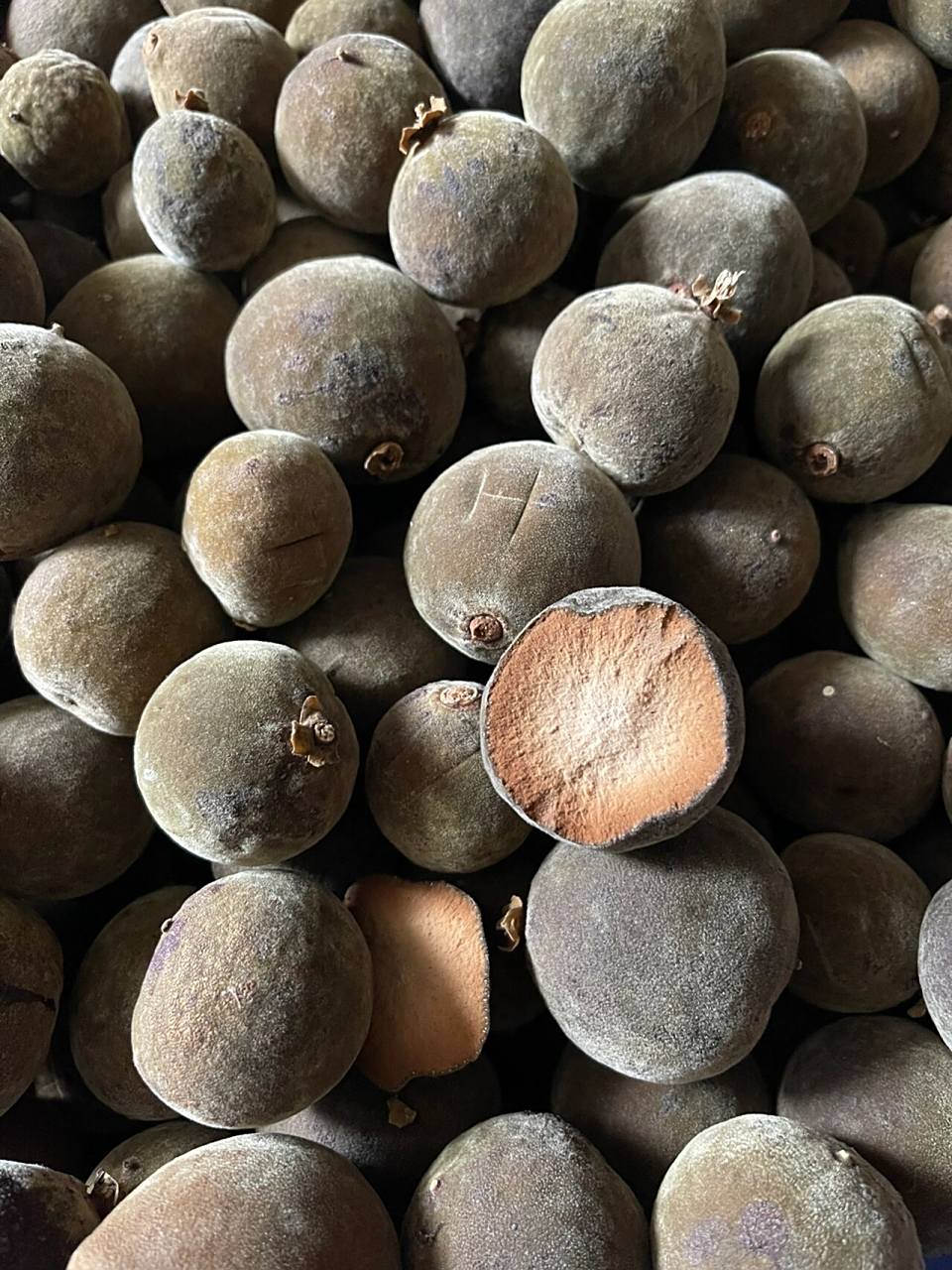 橘万家教你坚硬的化橘红果怎么切开 坚硬的化橘红怎么切开的?