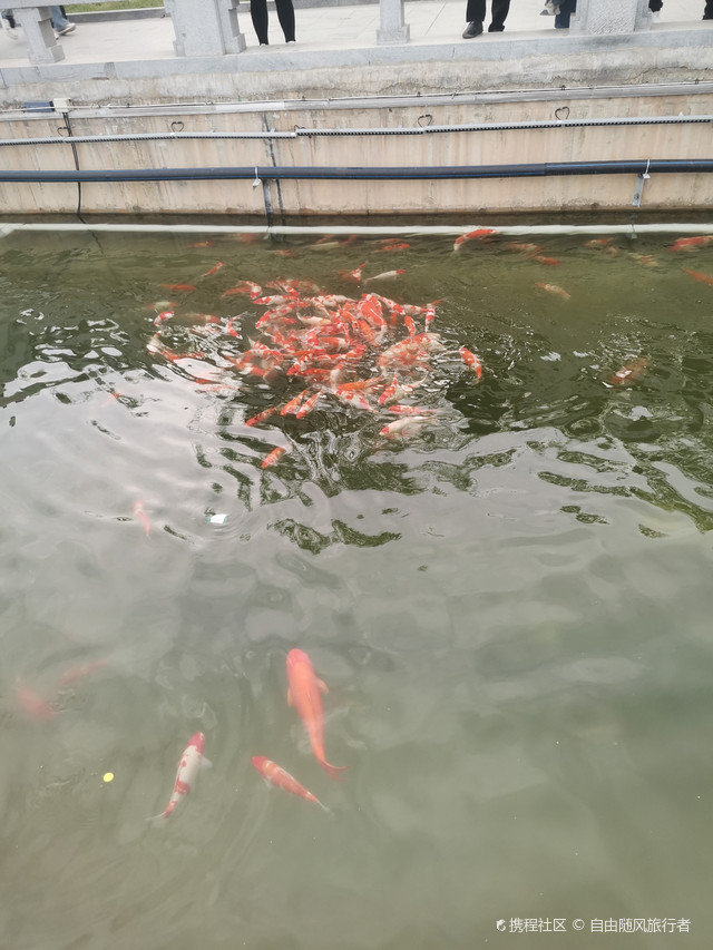 清河县青阳广场