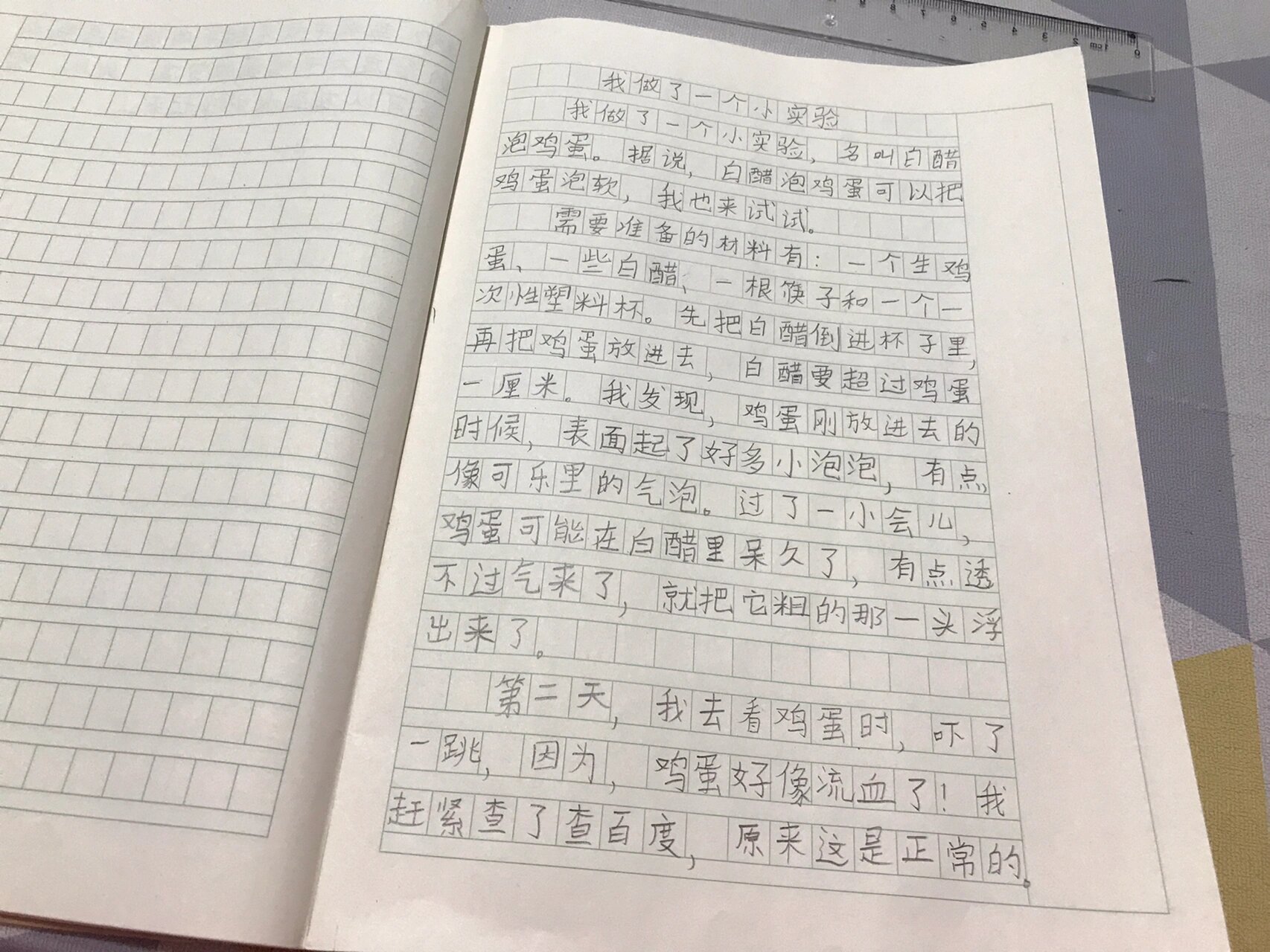 鸡蛋泡醋实验作文图片