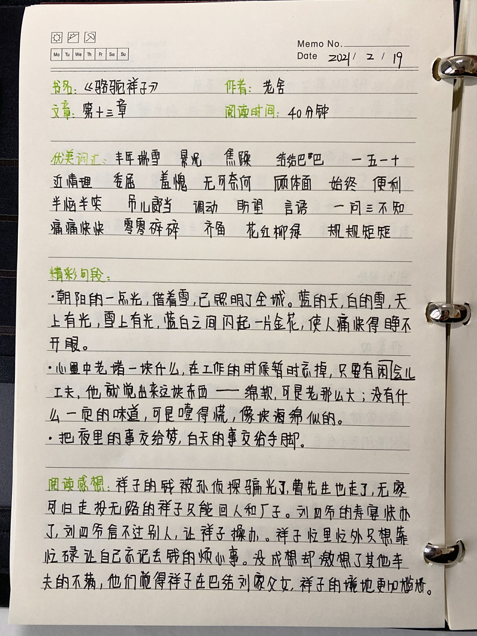 《骆驼祥子》读书笔记第十三章 "这些年我一直提醒自己一件事情,千万