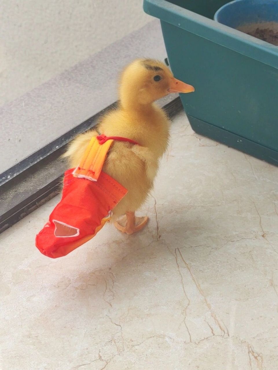 小鸭子屎兜子制作完成 有点麻烦也就我闲得慌,哈哈 耗费一个口罩,20