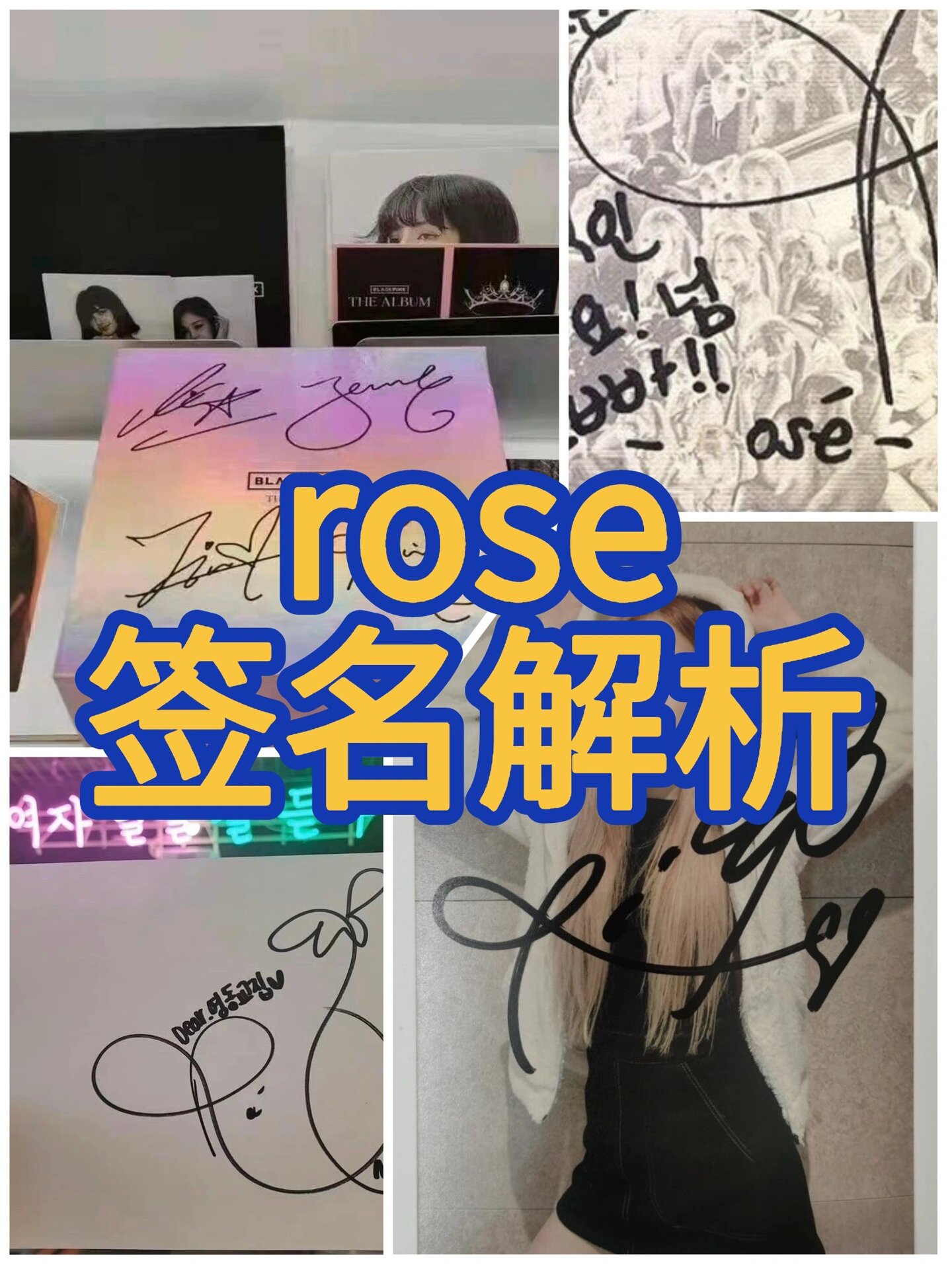 rose 朴彩英979797