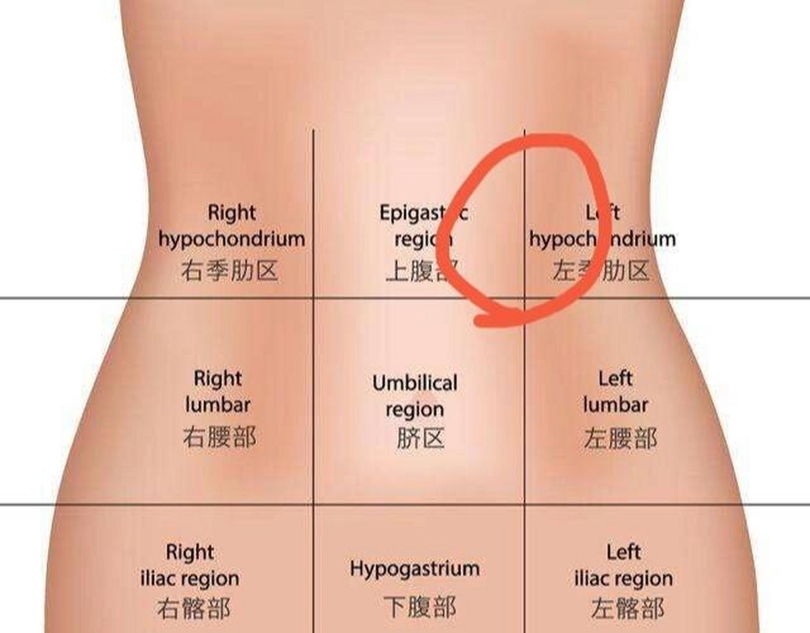 肚子岔气疼的位置图图片
