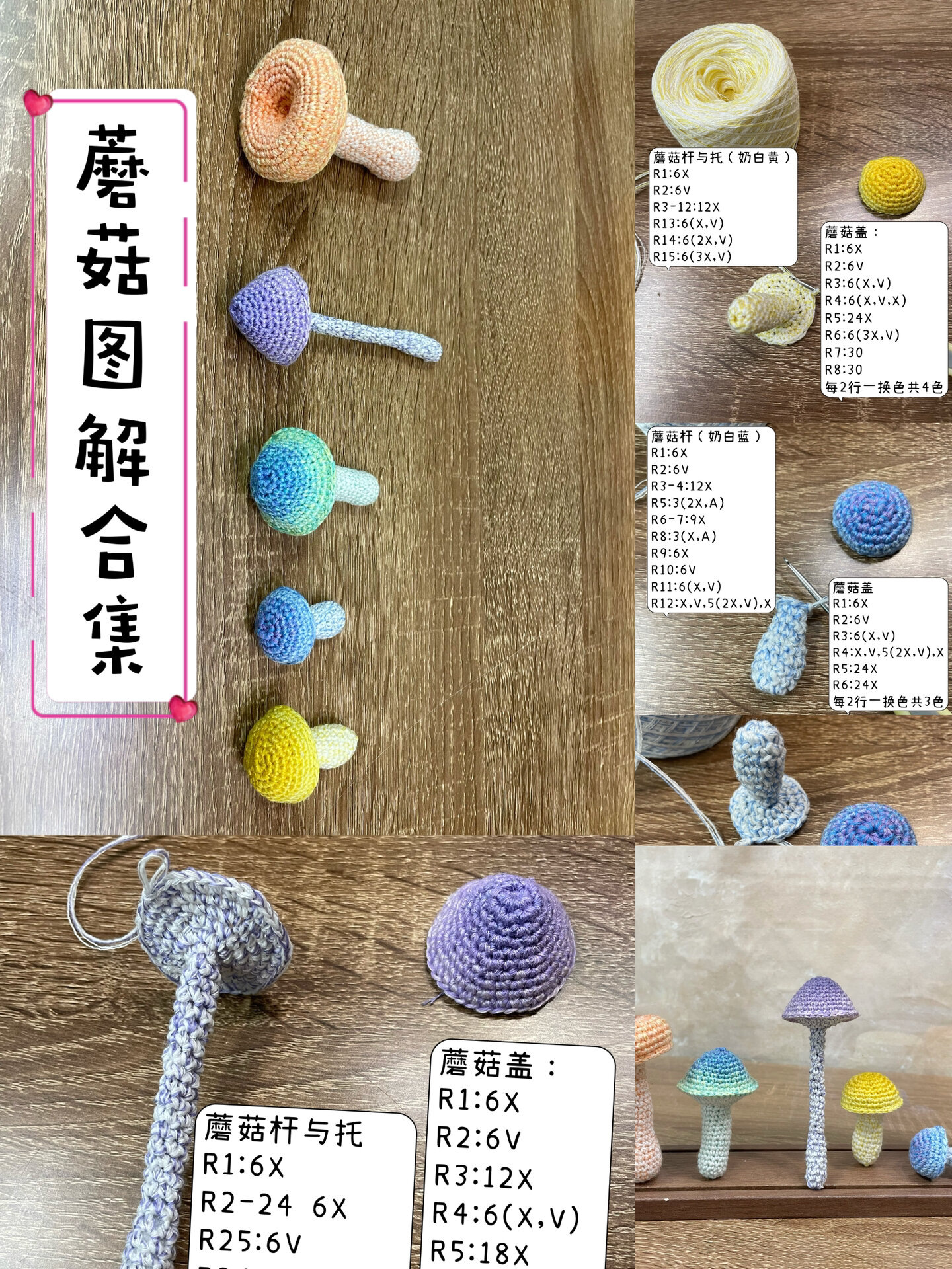 五种不同形态蘑菇图解合集