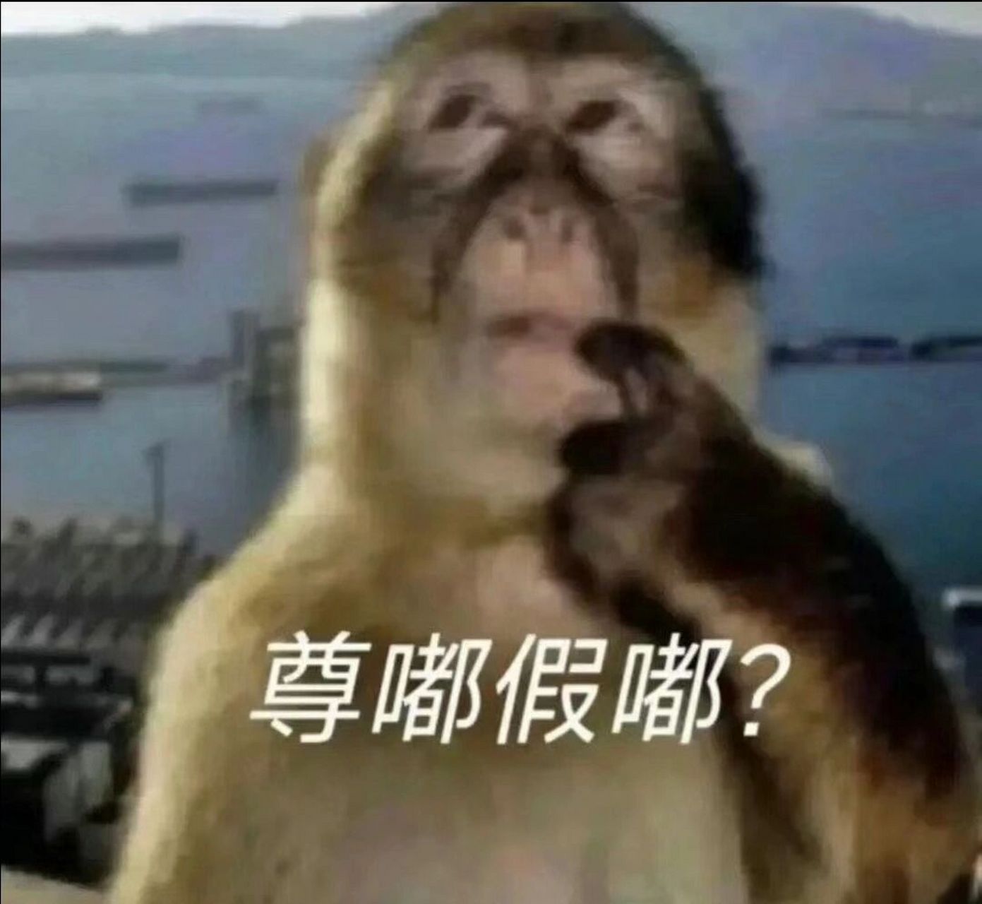 想要白痴弱智表情包