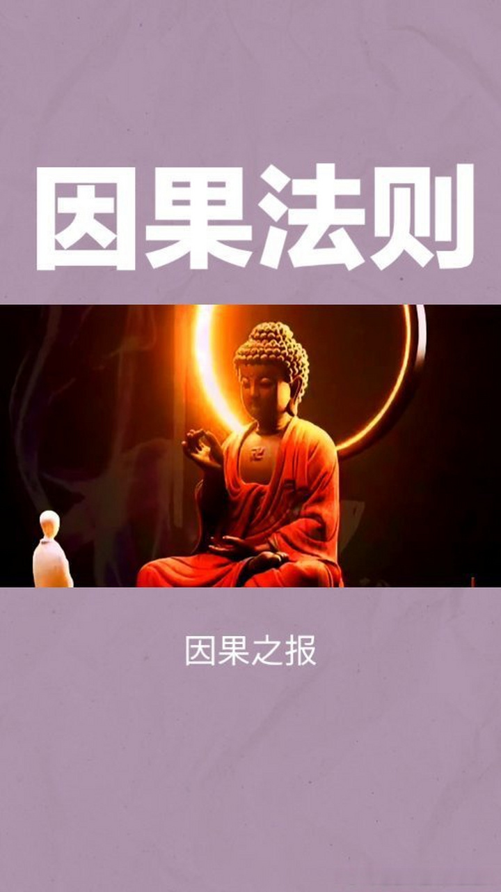 《因果法则: 你有什么样的果取决于你曾经种下了什么样的因》因果法则