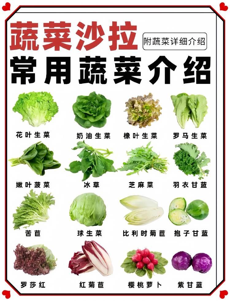 炒全的!分享16种沙拉🥗常用的蔬菜