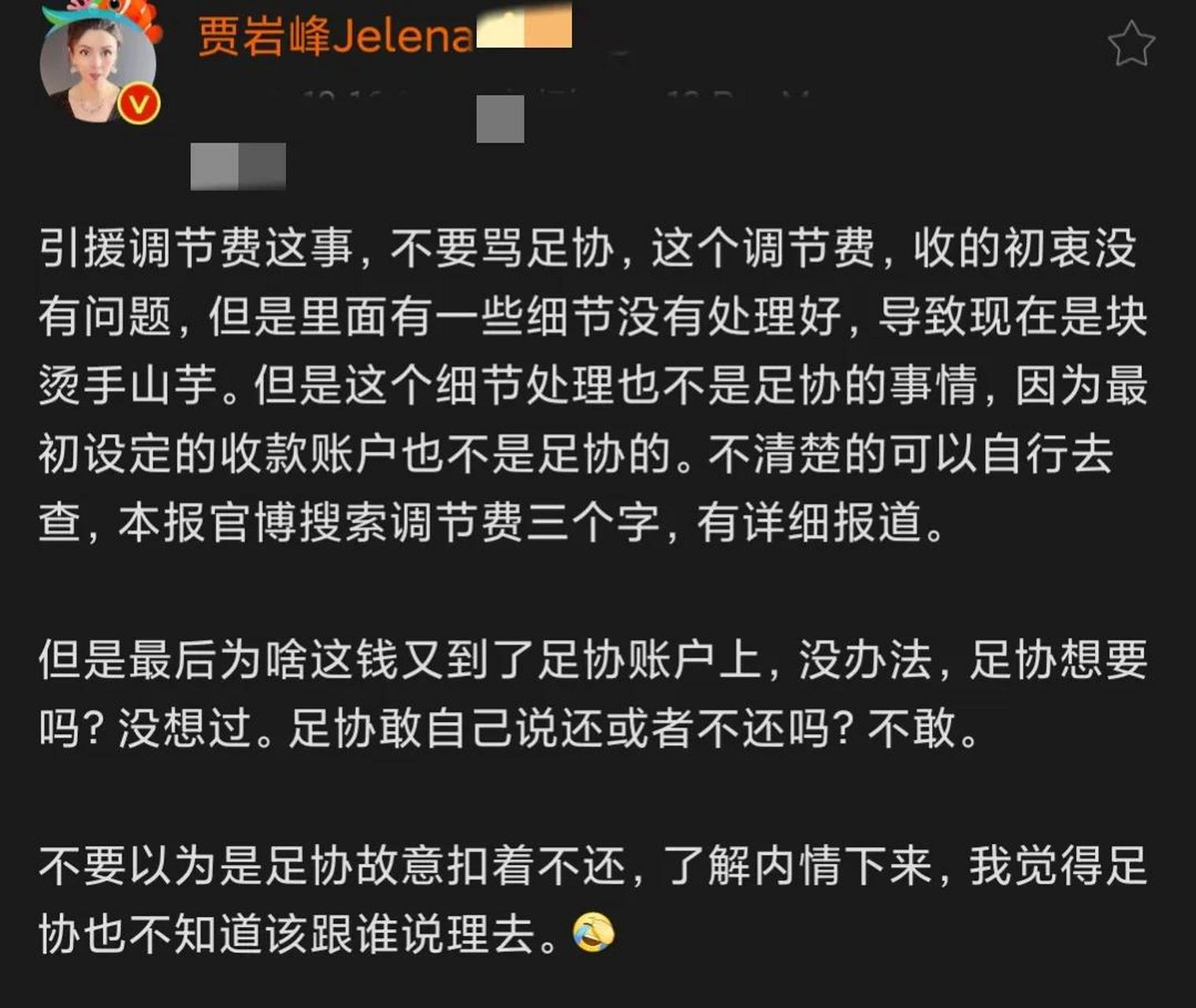 足球贾岩峰(足协贾队长是谁)