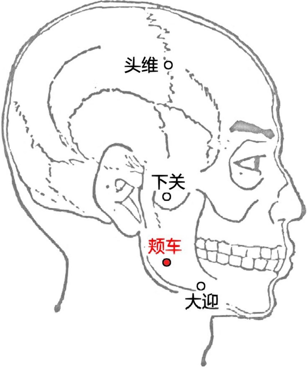 颊车准确位置图片图图片