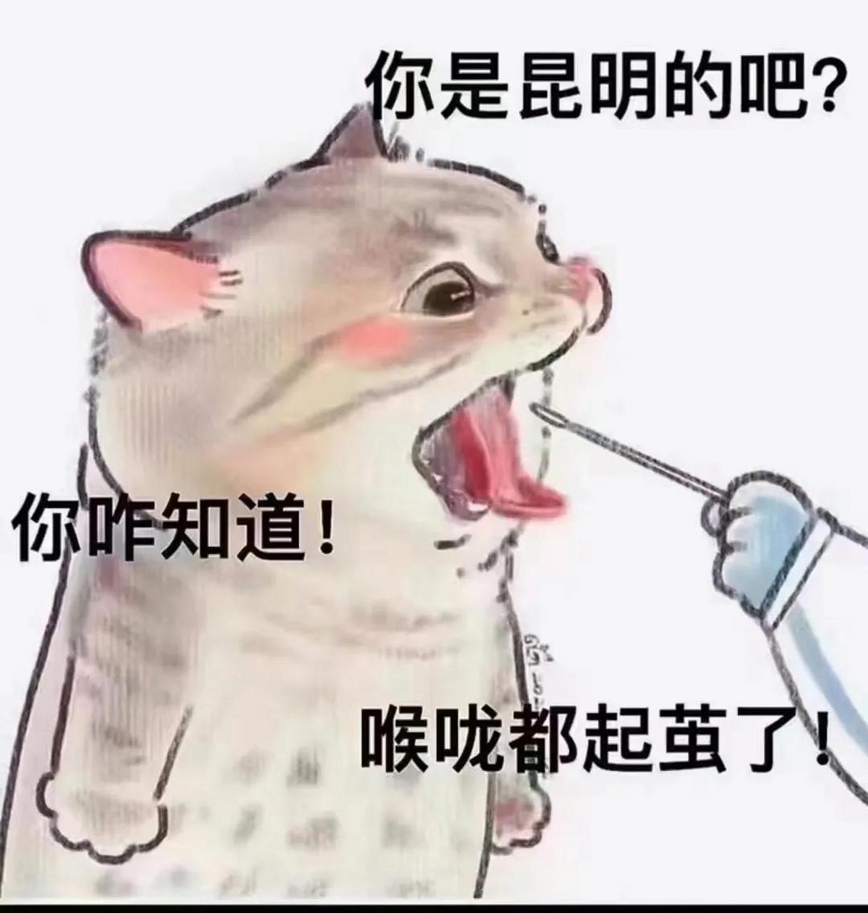 喉咙茧子图片