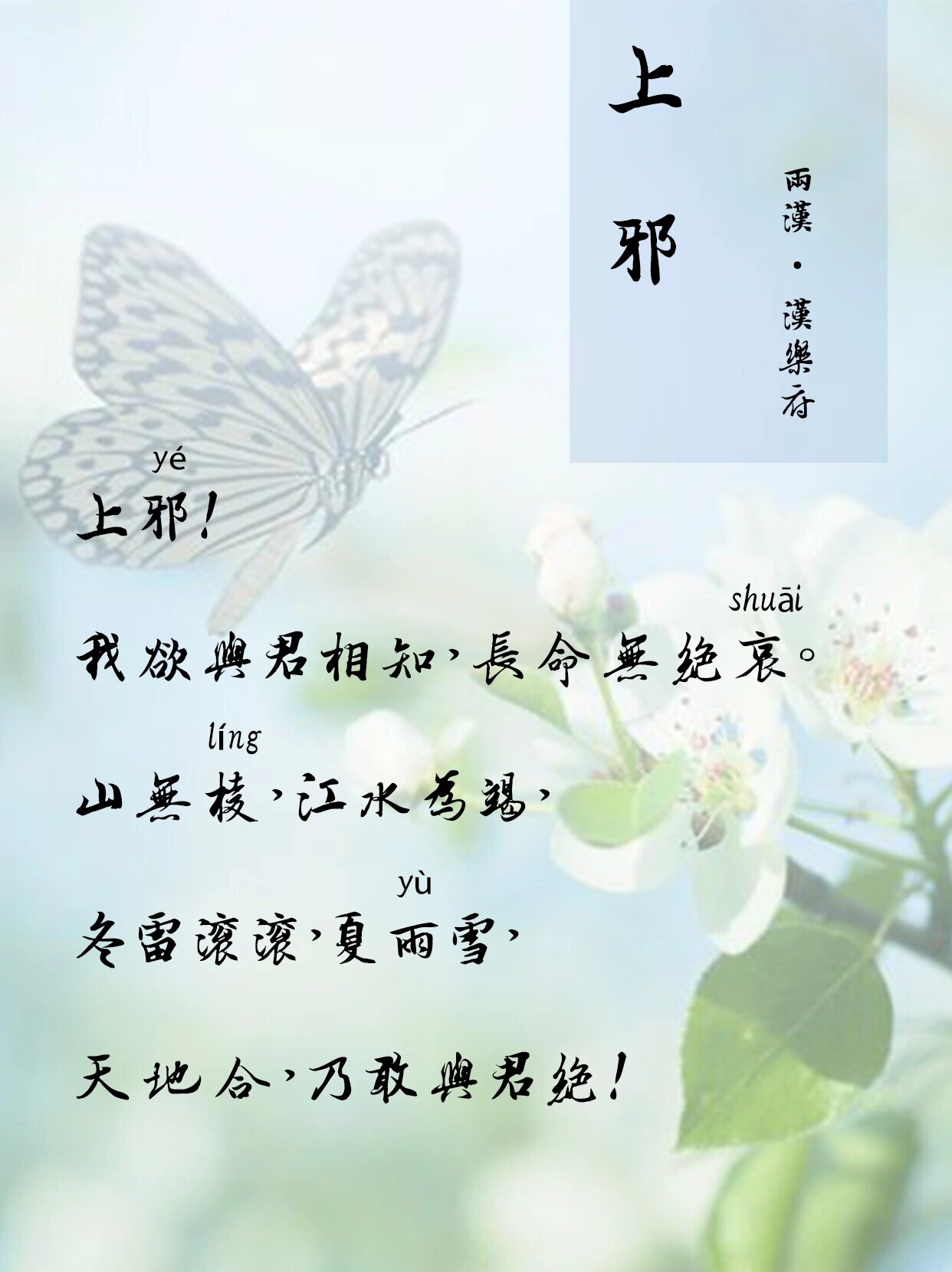 启信宝