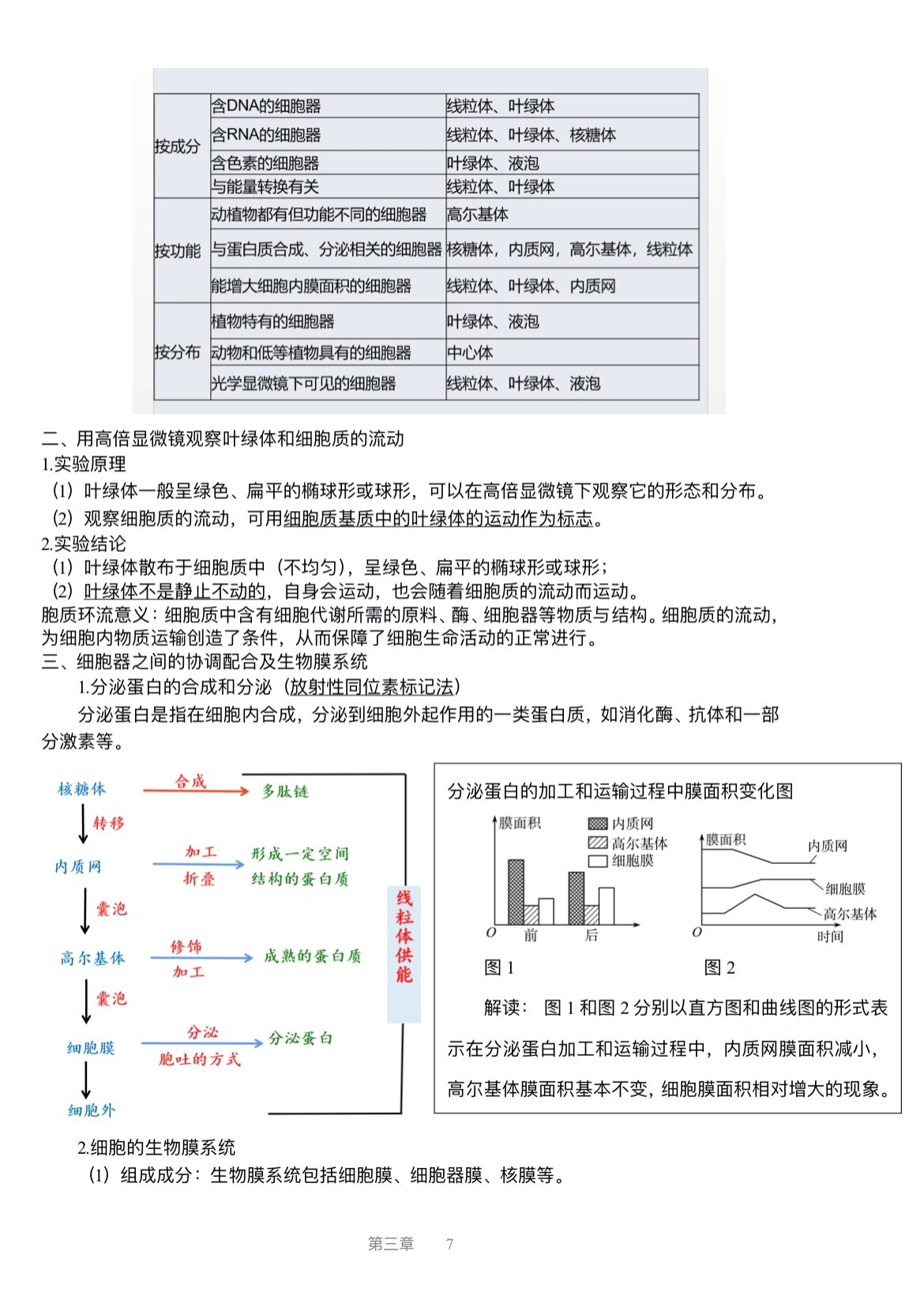 高中生物知识点总结必修一(高中生物知识点总结必修一二)  第1张