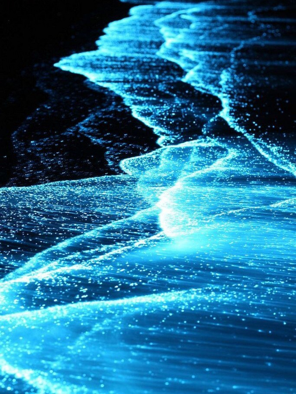 97你见过蓝色荧光海滩嘛?