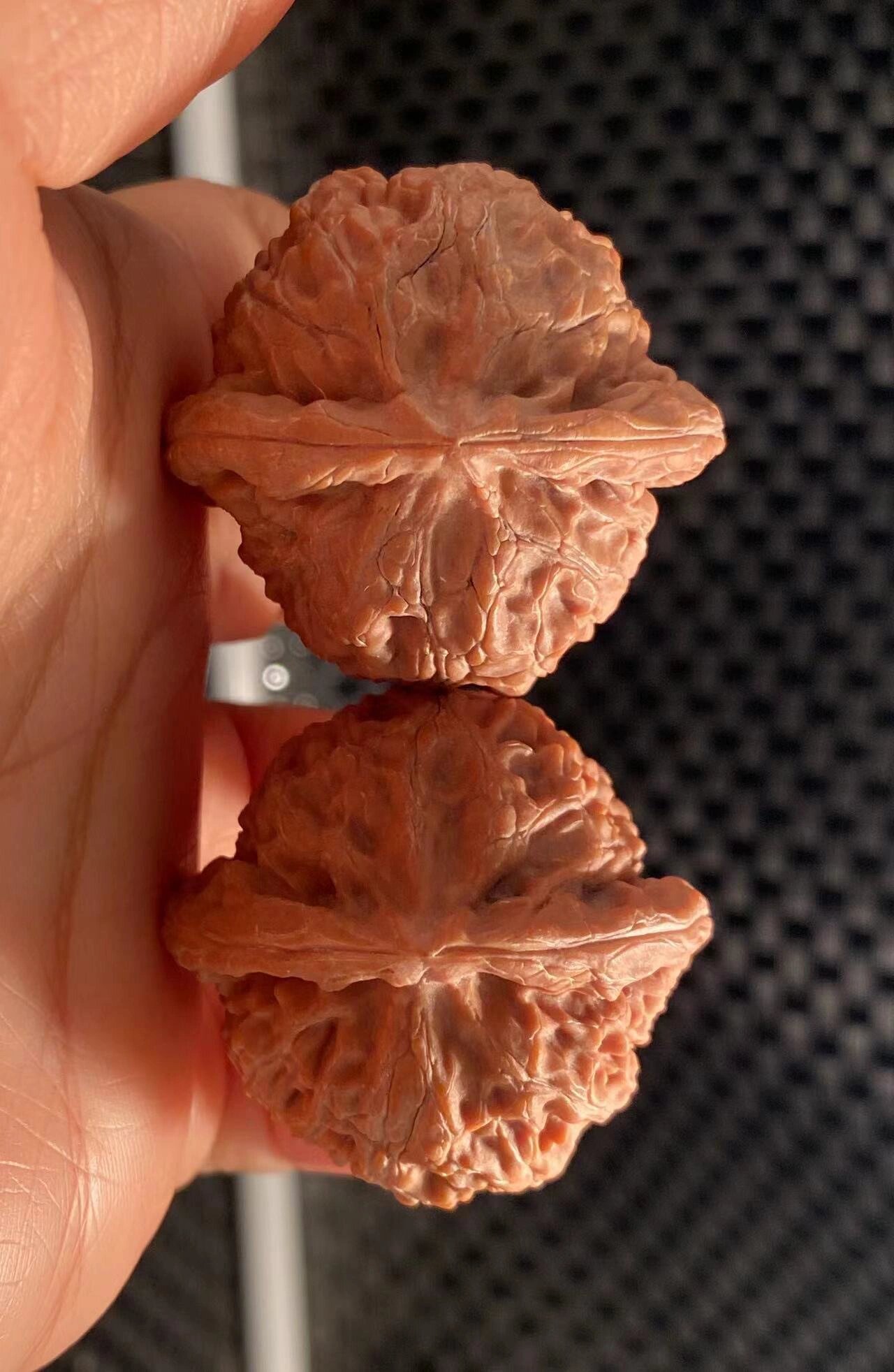 宫灯狮子头 80元起拍 全品精品圆球大肚玉玺宫灯狮子头 39-34-37 宫灯