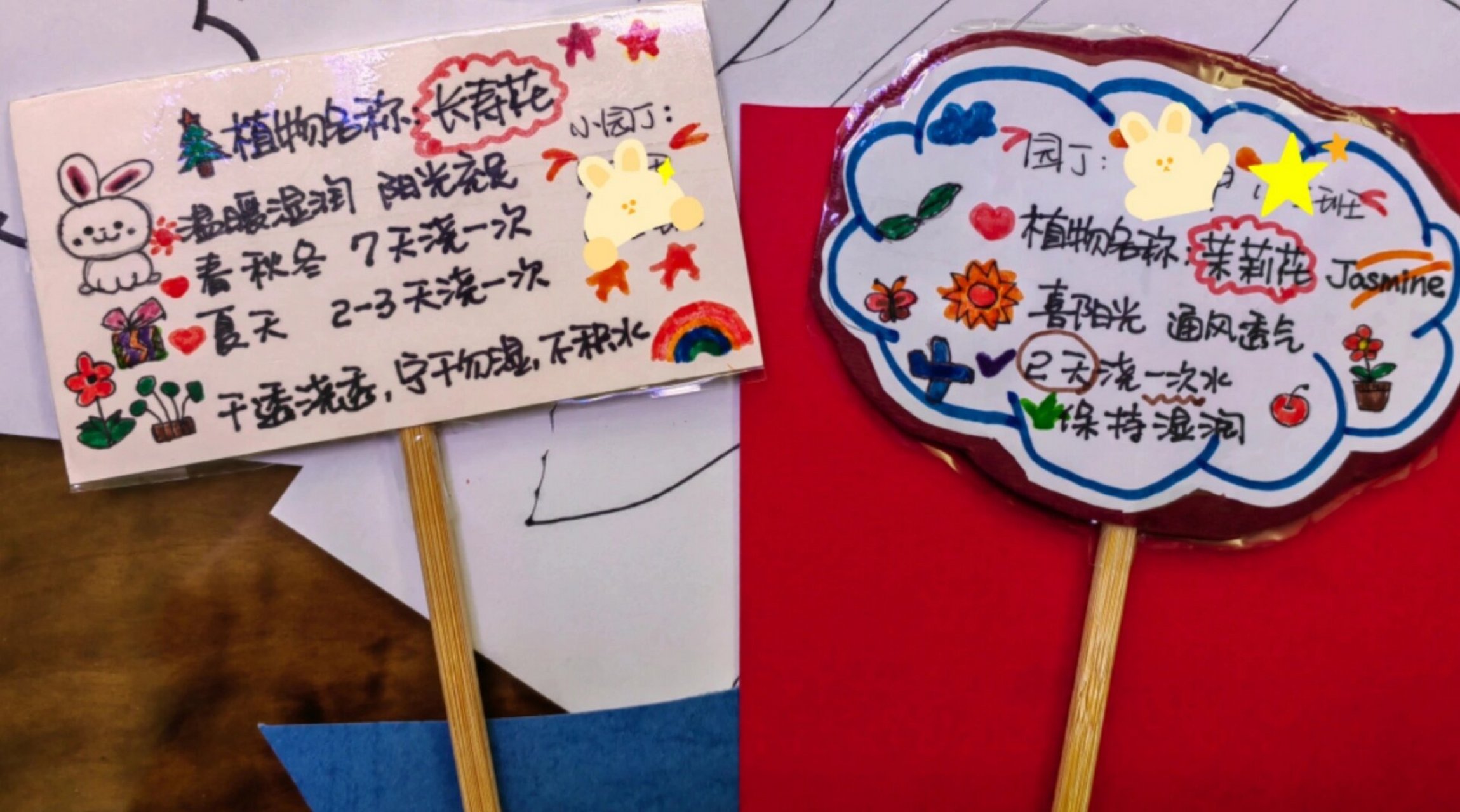 老母亲和老父亲第一次做手工 幼儿园自然角 长寿花&茉莉花🌸的标签