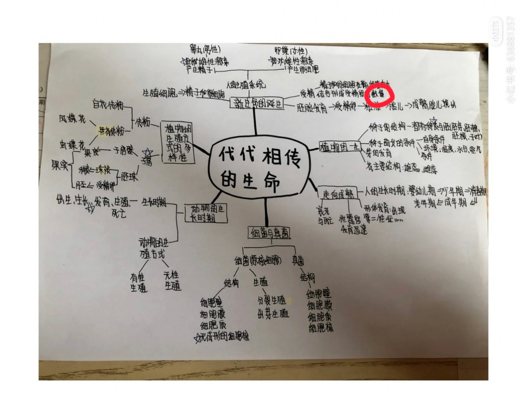 七下第一单元科学思维导图 左滑帮我圈出错误 红圈应该改成"过程"