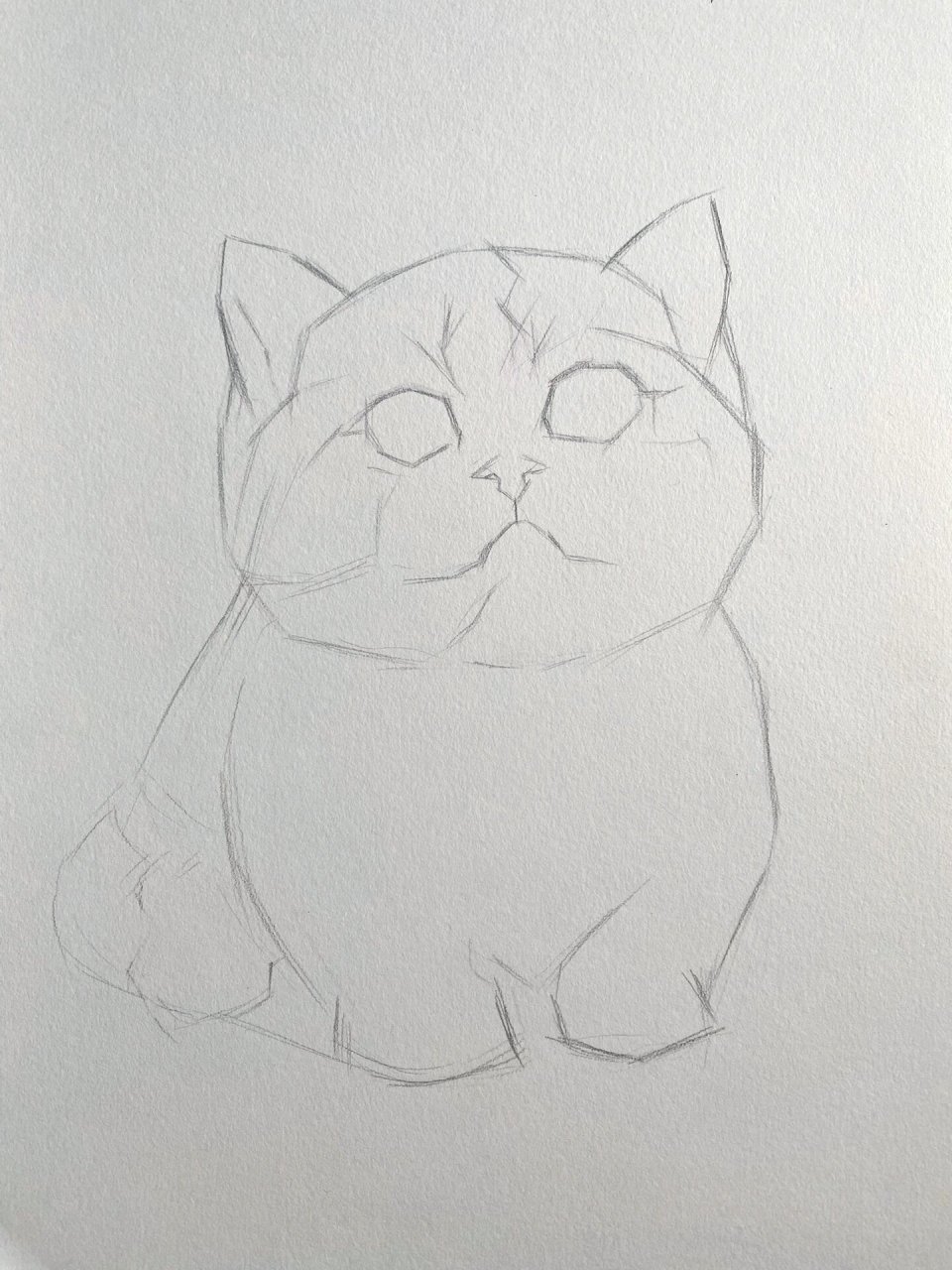 素描动物-小奶猫 铅笔素描